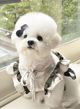 Lazy Petn韩国宠物猫狗出行可爱格纹荷叶边系带蝴蝶结胸背