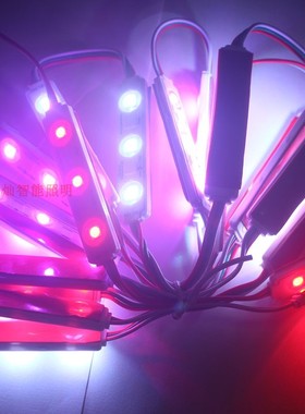 全彩LED注塑模组i防水7515 3颗5050RGB驱动IC WS2811 灯箱广告户