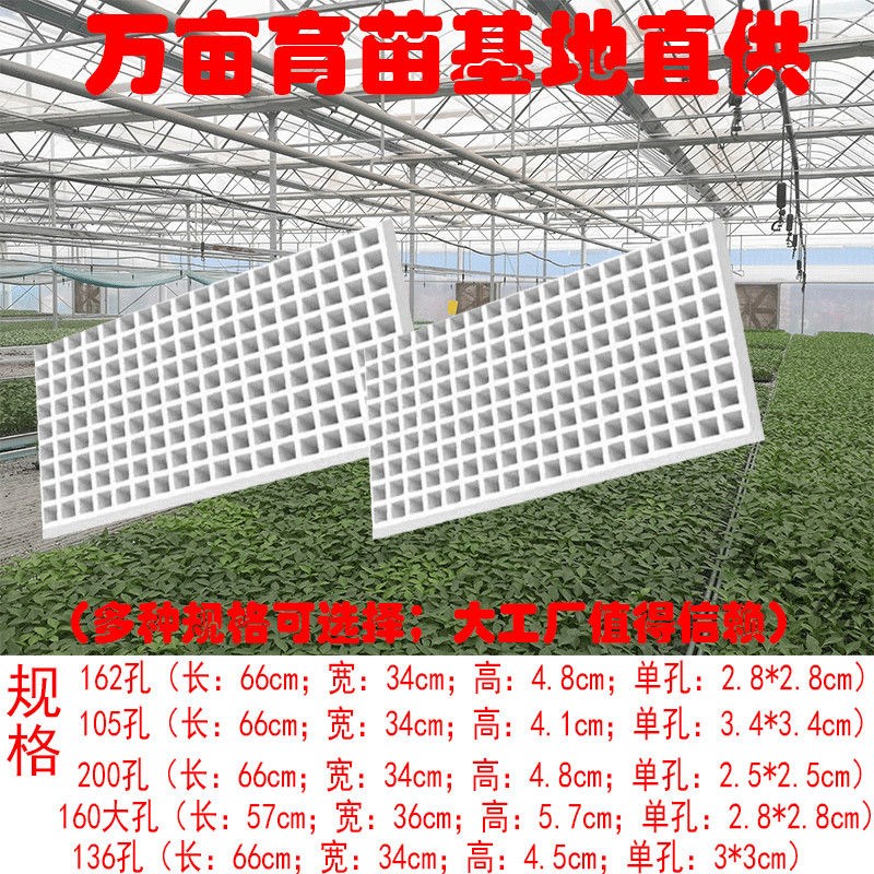 白色泡沫漂浮育苗盘水上漂浮托盘105 162 1J36 160 162 200孔