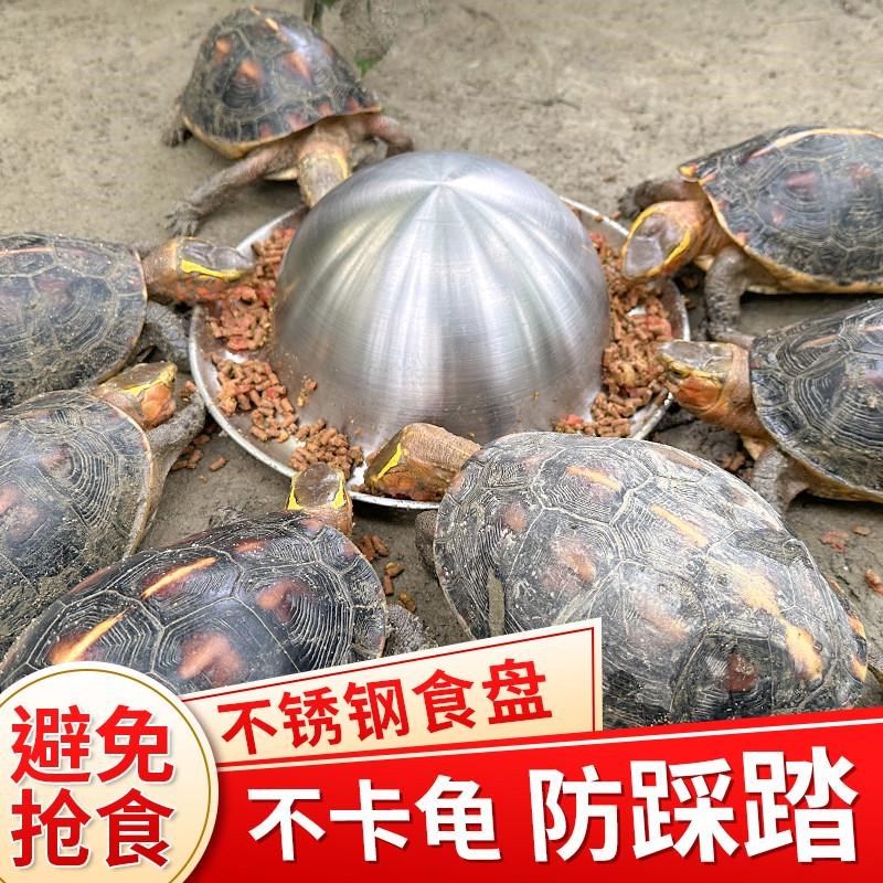乌龟自动喂食器不锈钢黄缘龟喂食盘圆形半水U龟专用食台食盆,宠物/宠物食品及用品,喂食器,淘宝优惠券,粉丝福利购,淘宝优惠卷