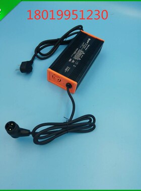 诺力天罡1.5砘锂电池充电器24V8AA充电机DZL300SS02电动托盘车配