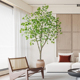 大型仿真绿植盆景枫树假树t植物盆栽室内商场橱窗落地装 饰造景摆