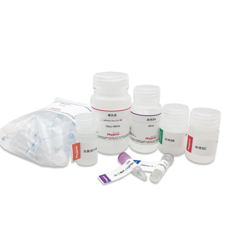 PH0219 粪便基因组DNA提取x试剂盒 粪便DNA提取试剂盒 PHYGENE