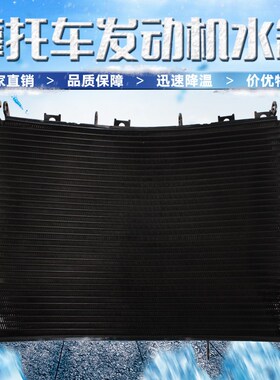 适用KAWASAKI 川崎 pZX-9R 2000-01--03年 水箱总成 散热器 水冷