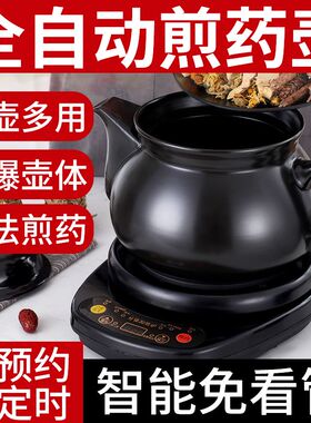 养生壶多功能煎药壶全自动熬药电药锅熬药分体式煎药砂锅煮中药煲