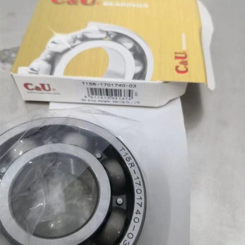 T15R-1d701740-03 32TM05 32TM06 科帕奇 变速箱一轴轴承