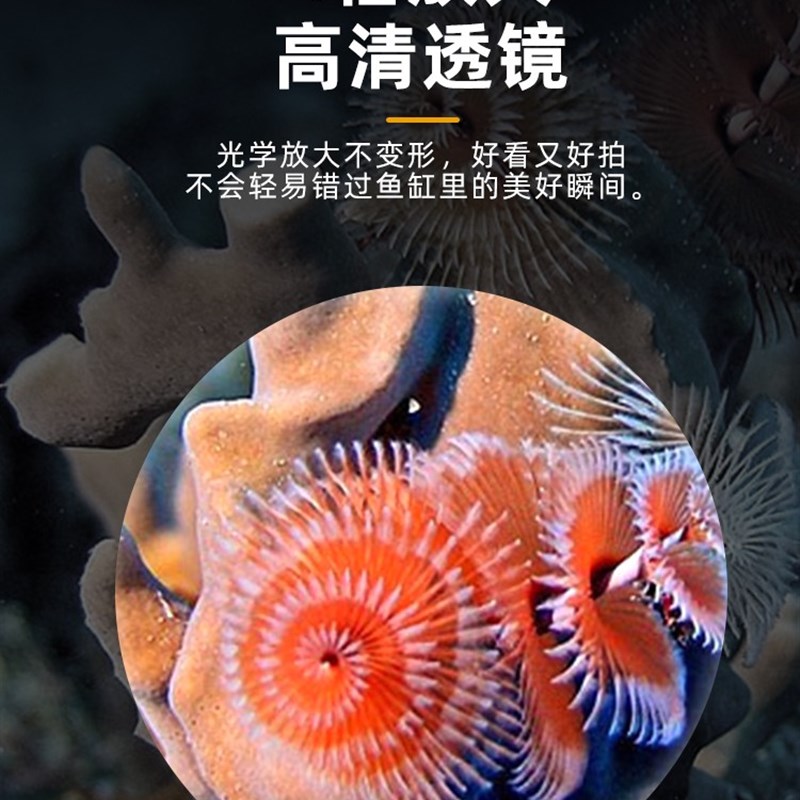 迈光放大镜鱼缸海缸珊瑚观察镜大号D微距海水鱼观赏珊瑚观察镜虫