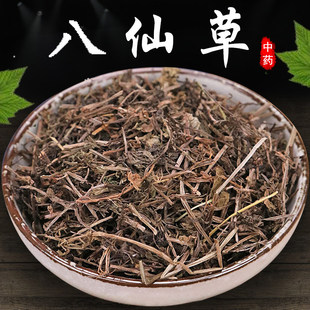 正宗野生八仙草500g特级中药材猪秧秧草锯子草拉拉藤猪殃殃草饲料