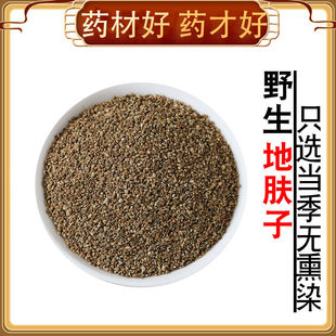 野生地肤子中药材500克新货地葵新鲜落帚千套筒 地肤子粉 地夫子