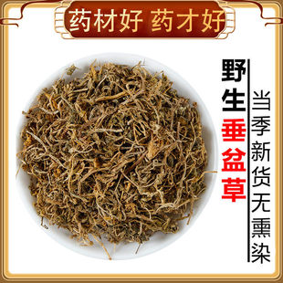 垂盆草中药500g野生垂盆草干锤盆草中药材药用垂盆草茶饲料