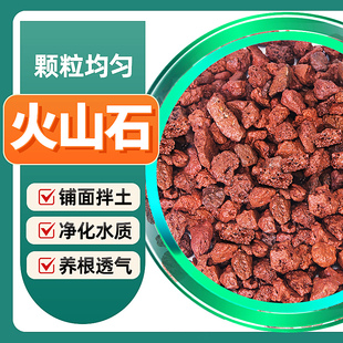 火山石鱼缸造景岩石底砂水族生态养鱼过滤材颗粒铺面装 饰宠物石头