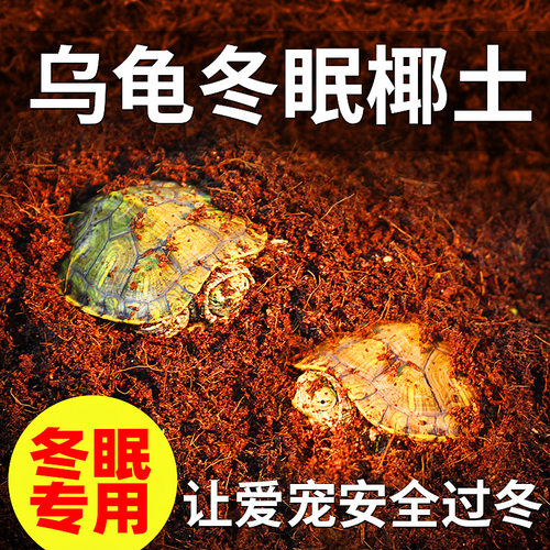 爬宠冬眠椰土四合一免泡开袋即用