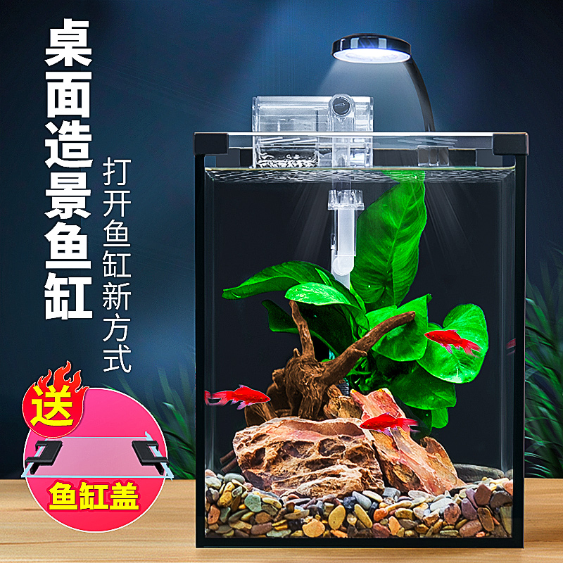 办公室超白玻璃斗鱼缸