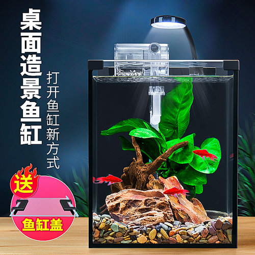 办公室超白玻璃斗鱼缸