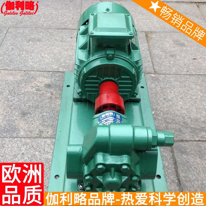 齿轮手压微型润滑输水启动燃w注内齿轮气动汽油油液压高压泵 伽伍