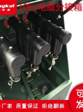 DFW-10KV/k630A高压不锈钢欧式电缆分接箱分支箱 带电显示器避雷