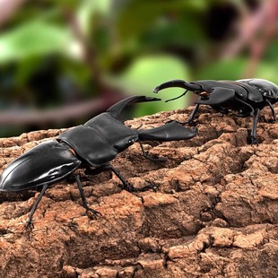 【来吃谷】补款   TTA 手拉手怪兽电力公司 挂件 扭蛋