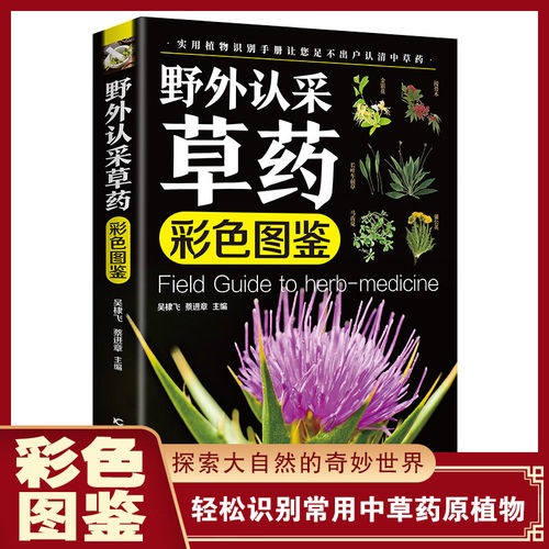 野外认采草药彩色图鉴图解中华汉方快速认药彩图全套中草药学野外识别应用彩色图鉴中草药彩图大全图解版草药材识别入门通俗易懂