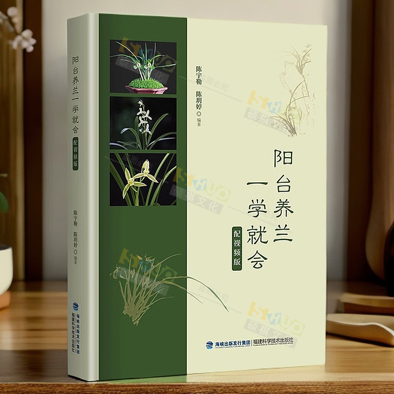 阳台养兰一学就会 养兰从新手到高手 养兰书籍兰花 阳台养兰一学就会