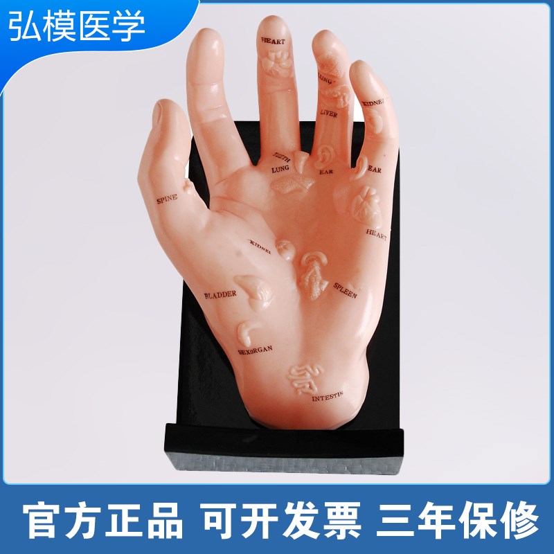 弘模 针灸包中医初学练习扎针彷q肤练针包针灸学生指力指法练习模