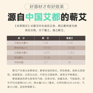 电加热艾c灸垫子艾草床垫热敷包艾绒电热毯保暖褥子发热片艾灸毯