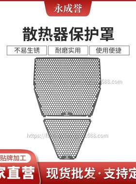 适用杜卡迪街头霸王V4PanigaleV4V4RV4S散热器保护罩