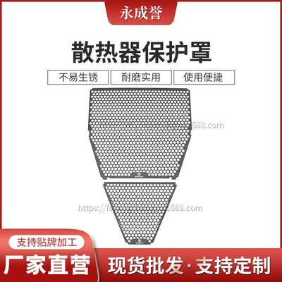 适用杜卡迪街头霸王V4PanigaleV4V4RV4S散热器保护罩