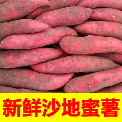 红薯正宗黄心蜜薯糖心新鲜番薯板栗沙地地瓜山芋农家自种整箱