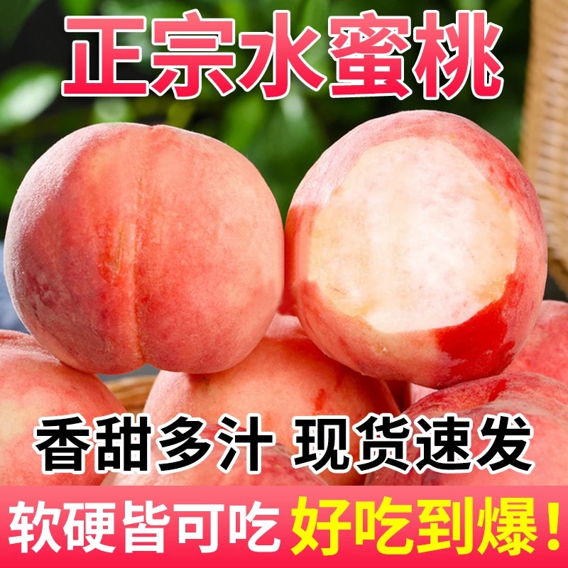 脆甜脆桃毛桃子水蜜桃六月桃特好吃浙江当季水果小蜜露新鲜摘