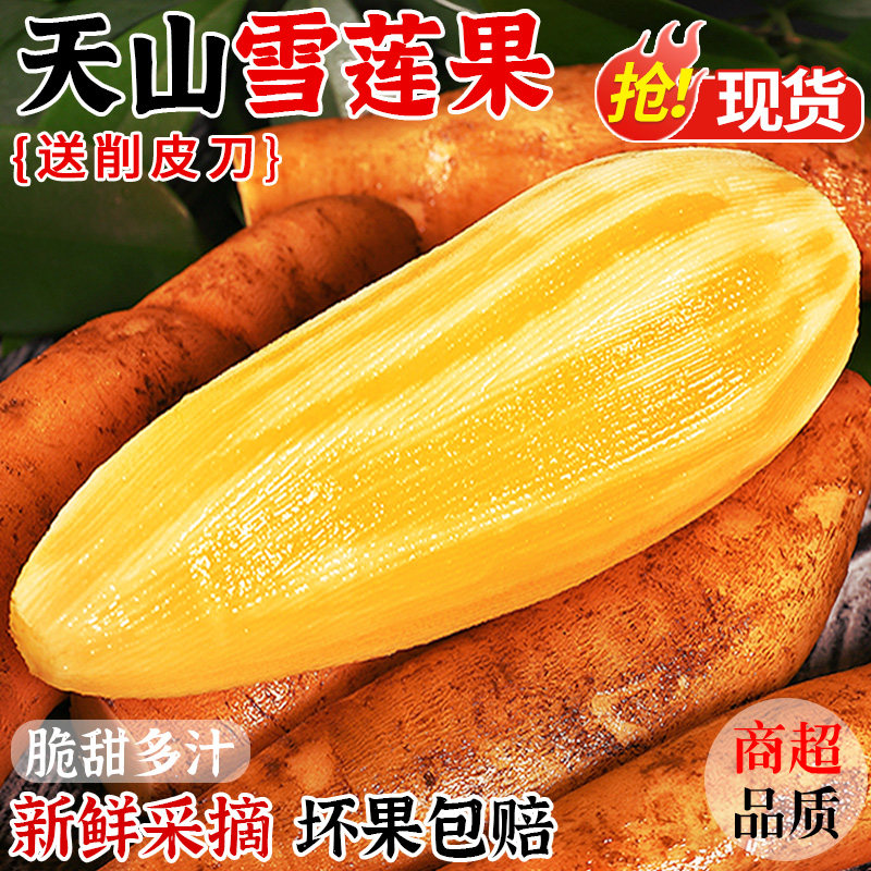 云南天山雪莲果新鲜现挖红黄心水果当季水果9斤5斤3斤整箱包邮