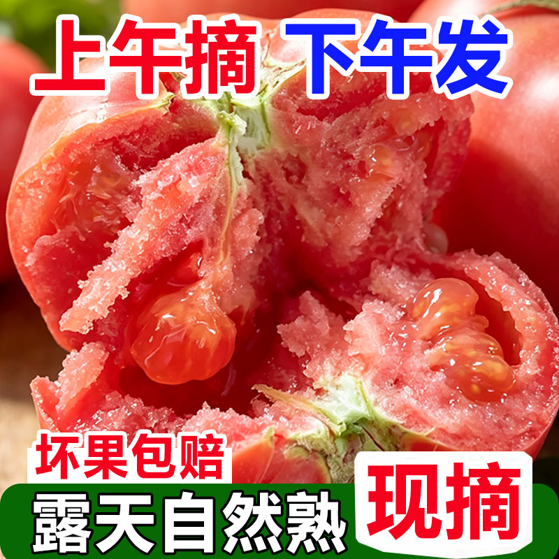 正宗攀枝花自然熟沙瓤西红柿9斤普罗旺斯现摘新鲜水果蔬菜番茄