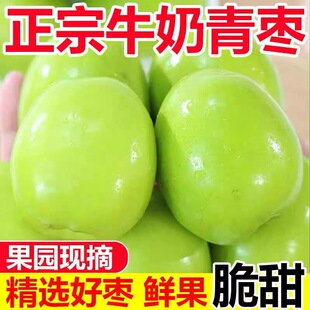 包邮 新鲜牛奶青枣5斤枣贵妃冬枣时令水果当季 整箱奶油脆枣整箱