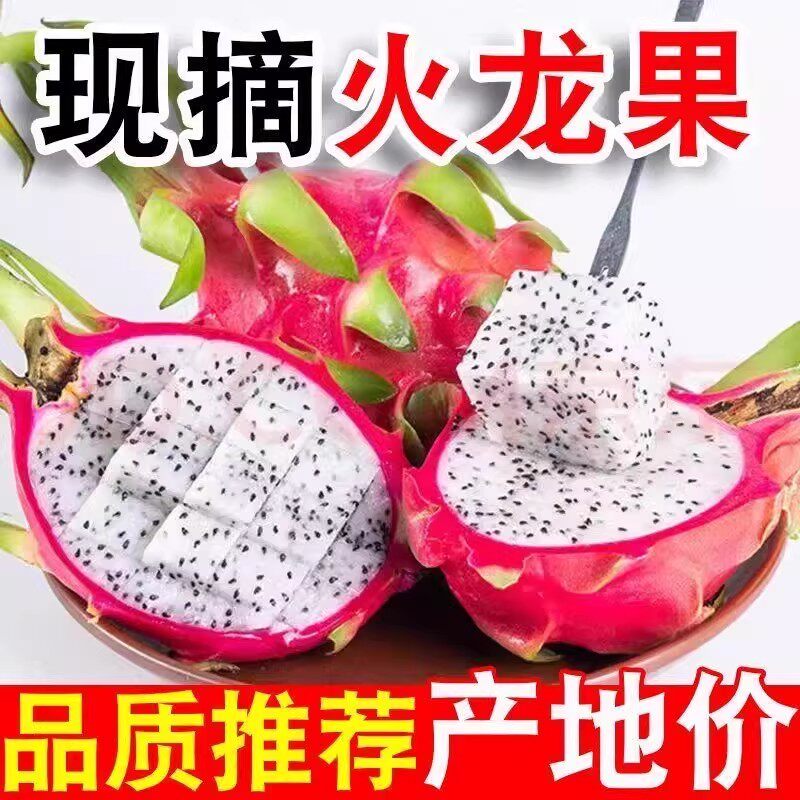 白心火龙果新鲜9斤越南热带水果当季清甜大果白肉整箱包邮