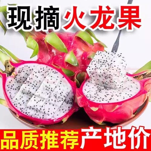 白心火龙果新鲜9斤越南热带水果当季清甜大果白肉整箱包邮