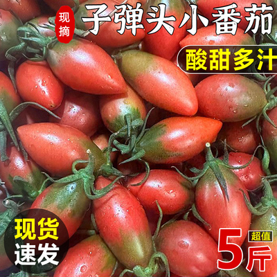 福建紫弹头小番茄子弹圣女果新鲜农家水果现摘迷彩红小西红柿整箱