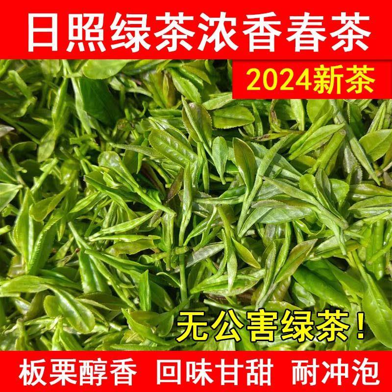头采日照绿茶2024新春茶叶山东板栗香绿茶500g高山云雾耐泡散装茶
