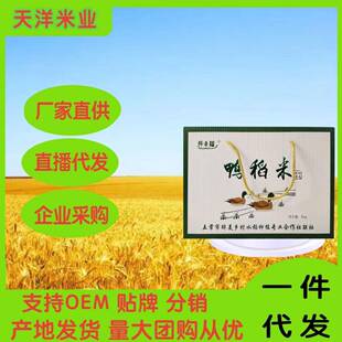 鸭田稻大米新大米五常5kg/10斤礼盒装大米礼品会销