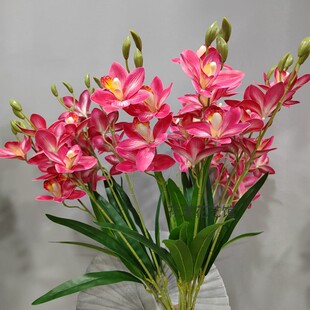 新仿真5b叉带叶蕙兰花3D底片兰花客厅摆放盆栽花卉家居装饰假花插