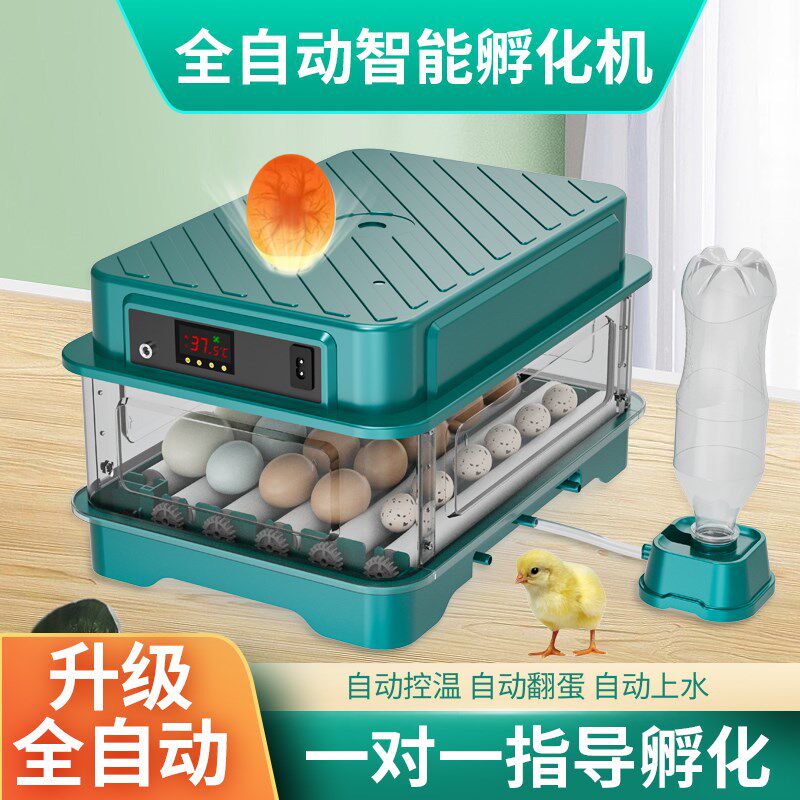 新孵化器小型家用孵化机全自动智能孵化箱小鸡R鸭鸽鹦鹉种蛋孵蛋