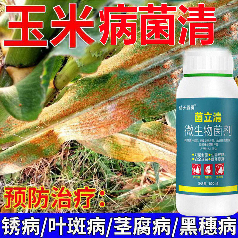 玉米病害清红叶病叶斑病粗缩病青枯病黑穗病微生物菌剂病植物有机