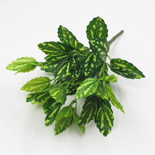 厂家直销植物墙绿植背景墙装饰绿叶配材过胶叶仿真冷水叶冷水花