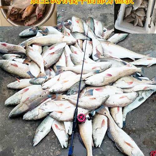 极速海钓哥筏竿海钓筏竿微铅近海C筏钓竿伐杆贡海蛎船钓黑鲷乌头