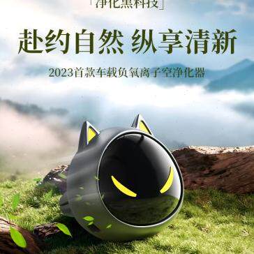 新品车载空气净化器新车n内无线负氧离子消除P异味除甲醛汽车空气