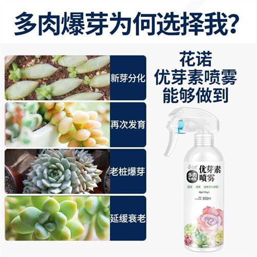 极速厂家多肉肥料专用肥专用型营养液G优芽素爆芽素优雅素肉肉叶