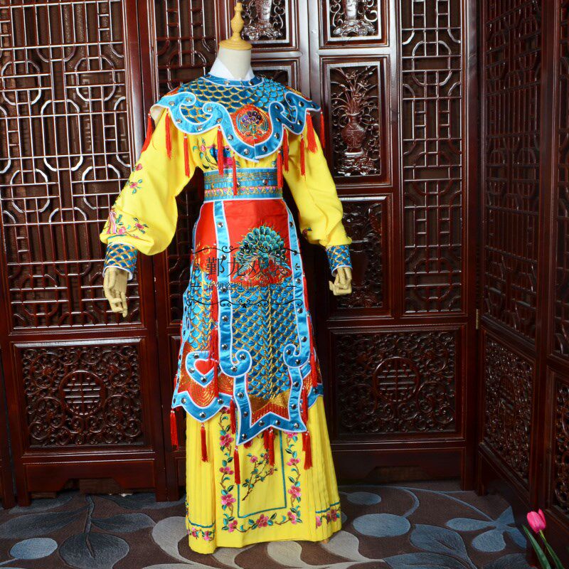 新品新款戏曲京剧豫o剧武旦刀马旦鲤鱼精服装霸王别姬鱼鳞甲虞姬