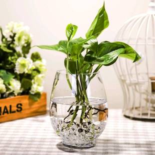 极速花瓶矮款宽口玻璃处理超大绿植客厅简单卧Q室个性圆柱形透明