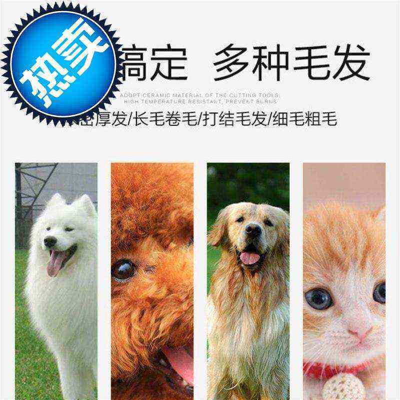 新品厂家新品电动式动o式推油头动物飞剪无线剃发不卡发宠物剃毛