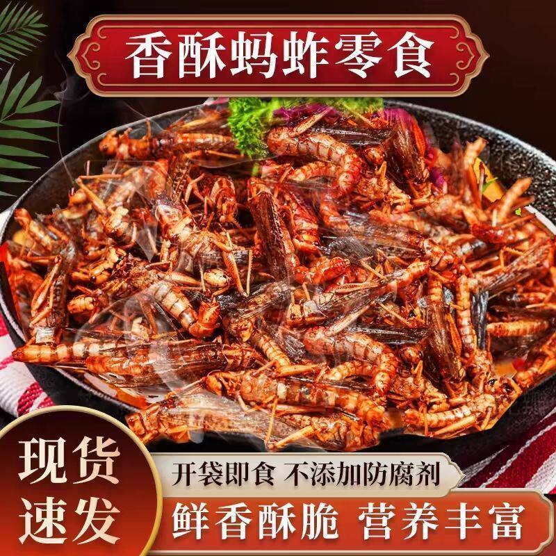 现做油炸蚂蚱新鲜即食零食香辣五香烧烤同款蝗虫美食下酒菜批发