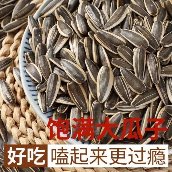 当年新货葵花籽原味五香铁锅炒熟瓜子大颗粒内蒙瓜子葵花籽饱满