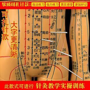 推荐针灸练习g模具针p灸人体模型扎针十二经络小皮人工具神器全身